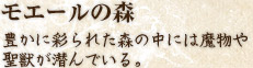 モエールの森　豊かに彩られた森の中には魔物や 聖獣が潜んでいる。