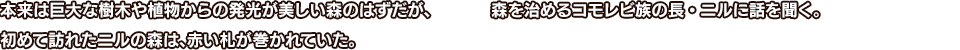 本来は巨大な樹木や植物からの発光が美しい森のはずだが、初めて訪れたニルの森は、赤い札が巻かれていた。 森を治めるコモレビ族の長・ニルに話を聞く。