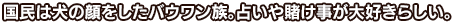 国民は犬の顔をしたバウワン族。占いや賭け事が大好きらしい。